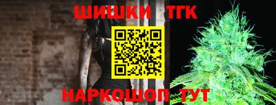 мдпв Долгопрудный