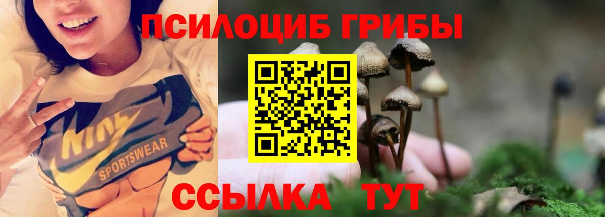Галлюциногенные грибы Magic Shrooms Горно-Алтайск